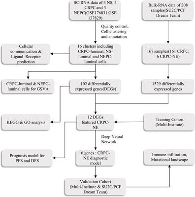 Novel biomarkers predict prognosis and drug-induced neuroendocrine differentiation in patients with prostate cancer